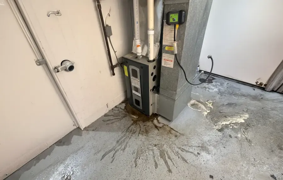Water spreading from an air handler closet after an AC drain line clog in Venice