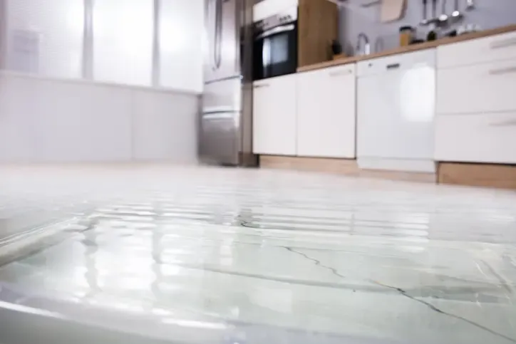 Water spread across a kitchen floor from a leaking appliance in Venice
